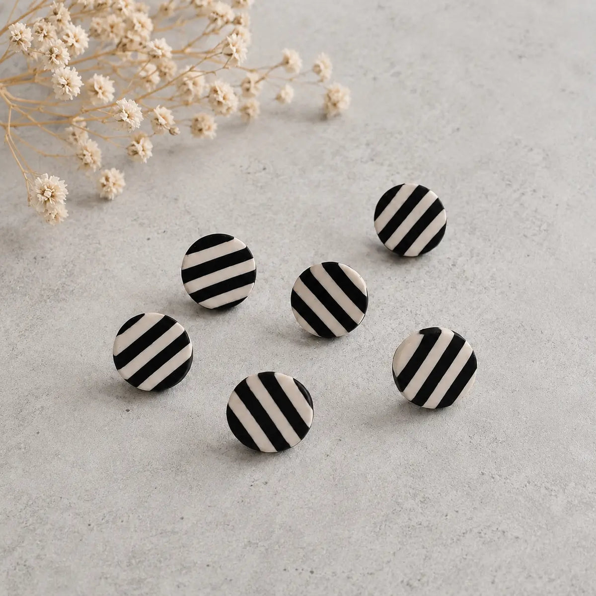 Zebra Dott